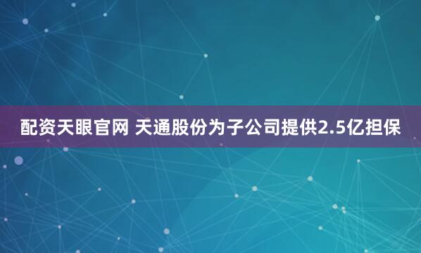 配资天眼官网 天通股份为子公司提供2.5亿担保