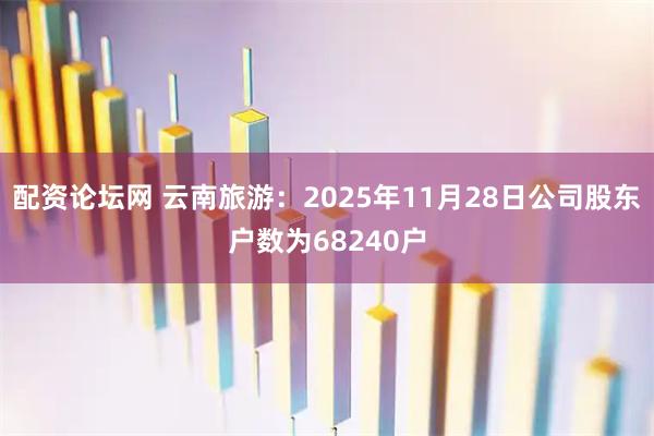 配资论坛网 云南旅游：2025年11月28日公司股东户数为68240户